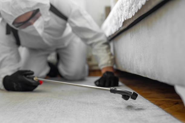 Professional Bed Bug Control technician working in Wausau, WI